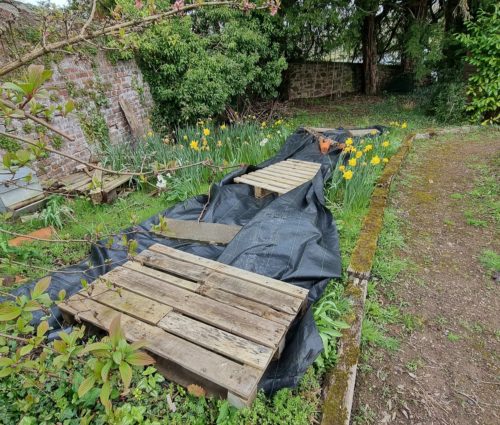 Supporting Local Mental Health