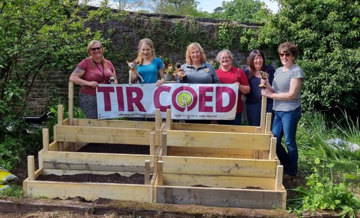 Supporting Local Mental Health