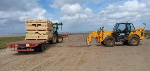 Beach Front Self Build