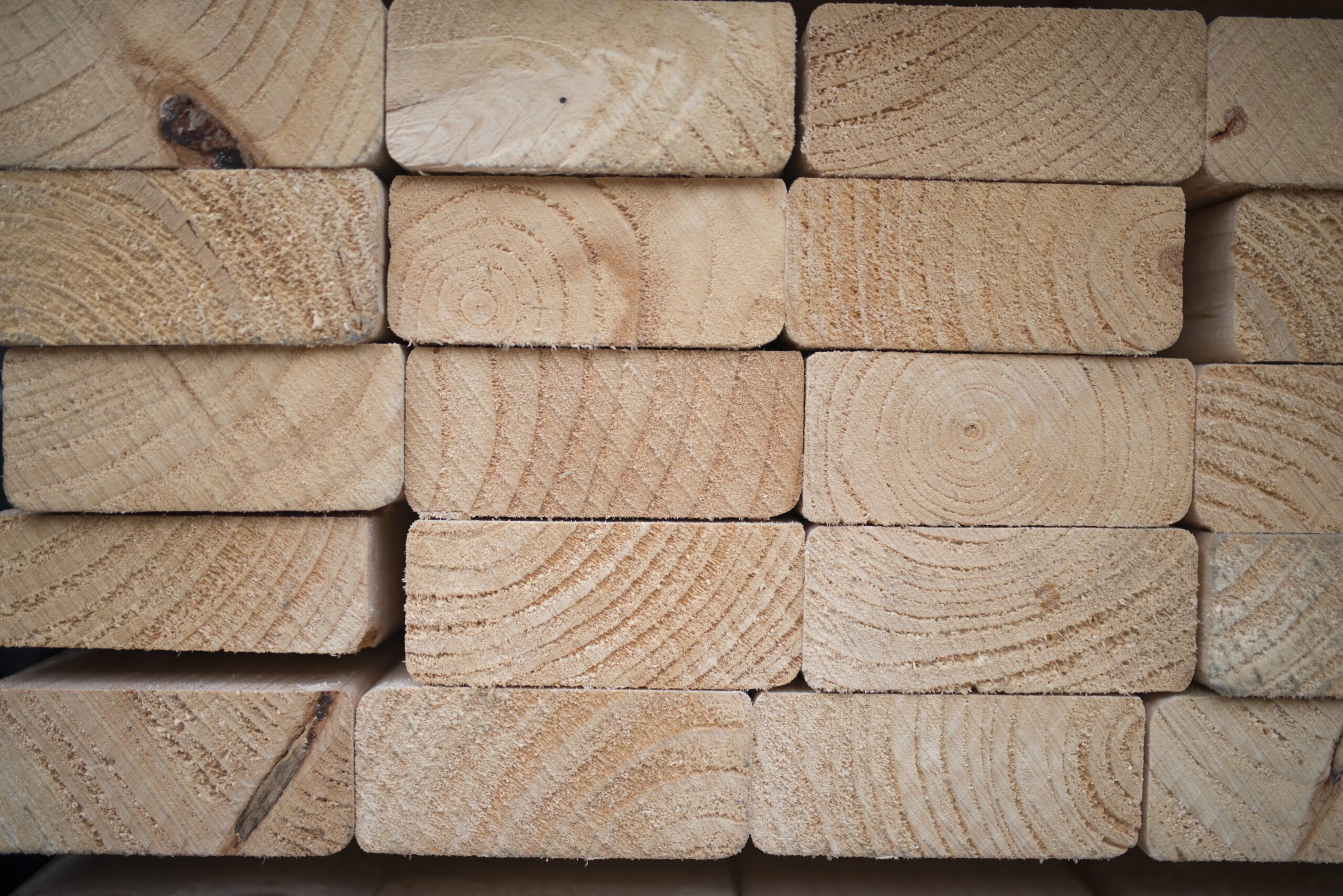 Embodied Carbon Timber Image